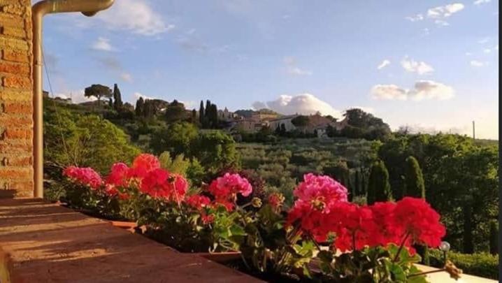 Leonaerdo Guests House Apartment Panicale Exterior photo